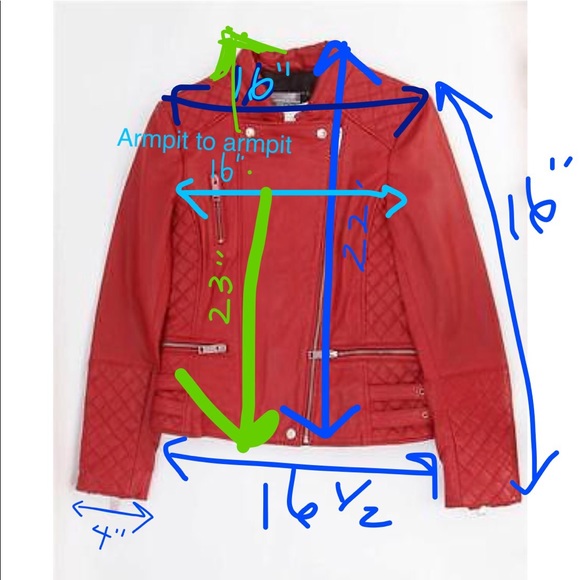 Zara 100% genuine leather biker jacket - Picture 8 of 8